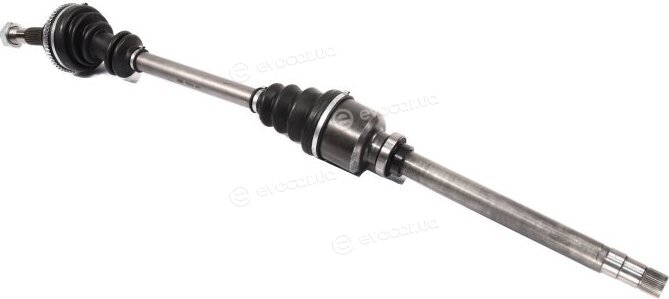 Magneti Marelli 302004190038