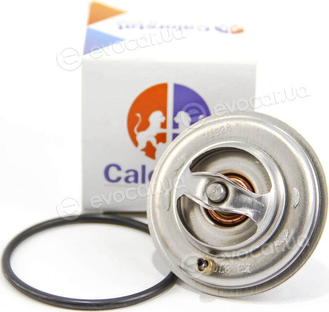 Vernet / Calorstat TH5902.87J