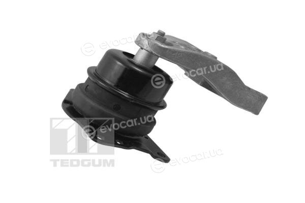 Tedgum 00729405