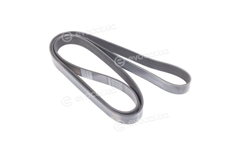 Dayco 8PK2055HD