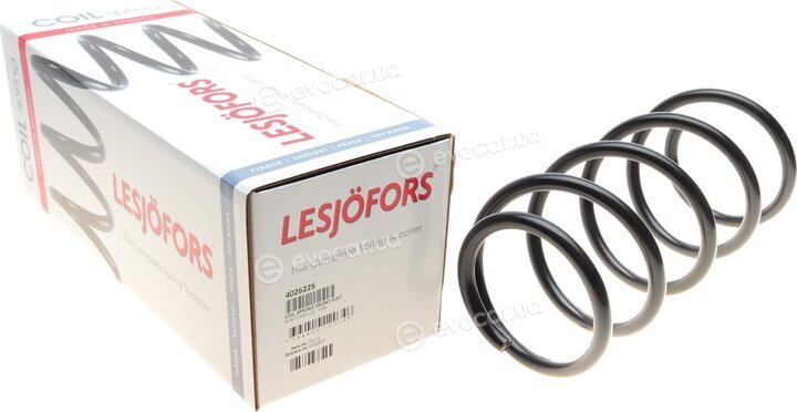 Lesjofors 4026225