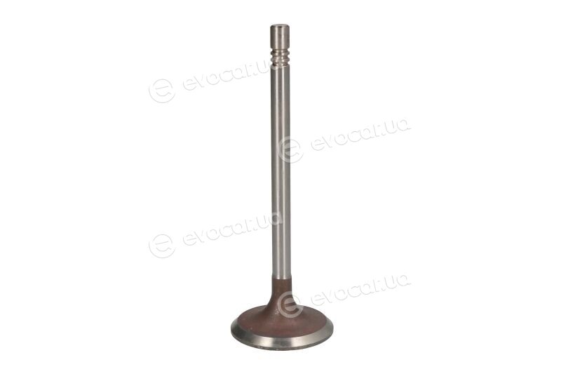 Intervalves 3171.002