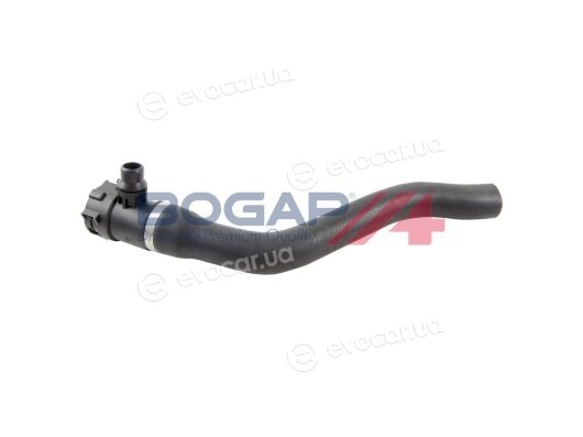 Bogap B4228297