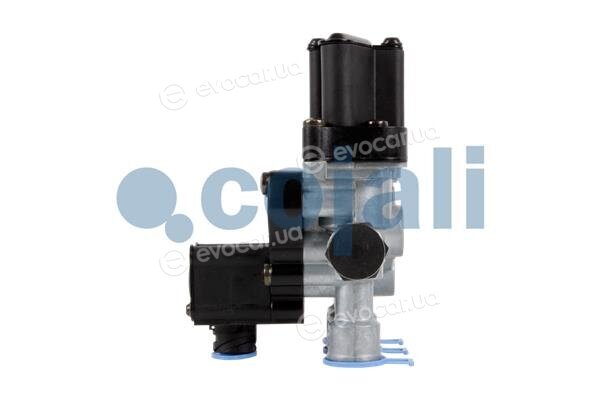 Cojali 2209454