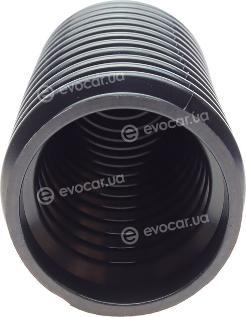 Solgy 205105