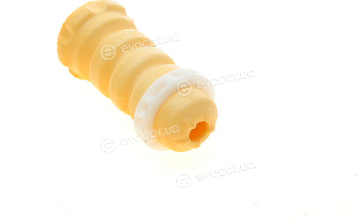 Borsehung B10013