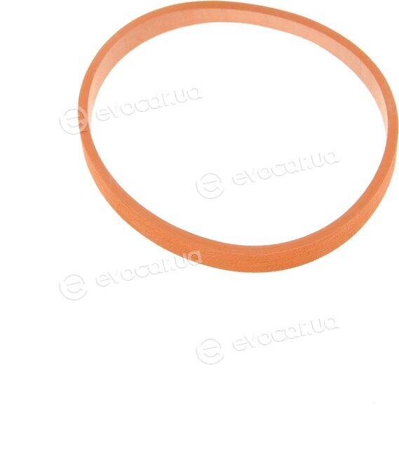 Elring 504.360