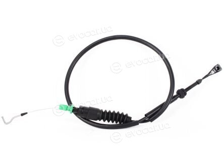 Cavo 7003 654