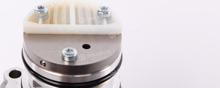 BorgWarner DS119863