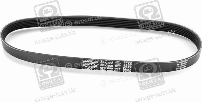 Dayco 6PK800
