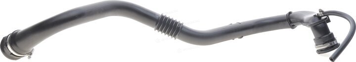 Solgy 114274