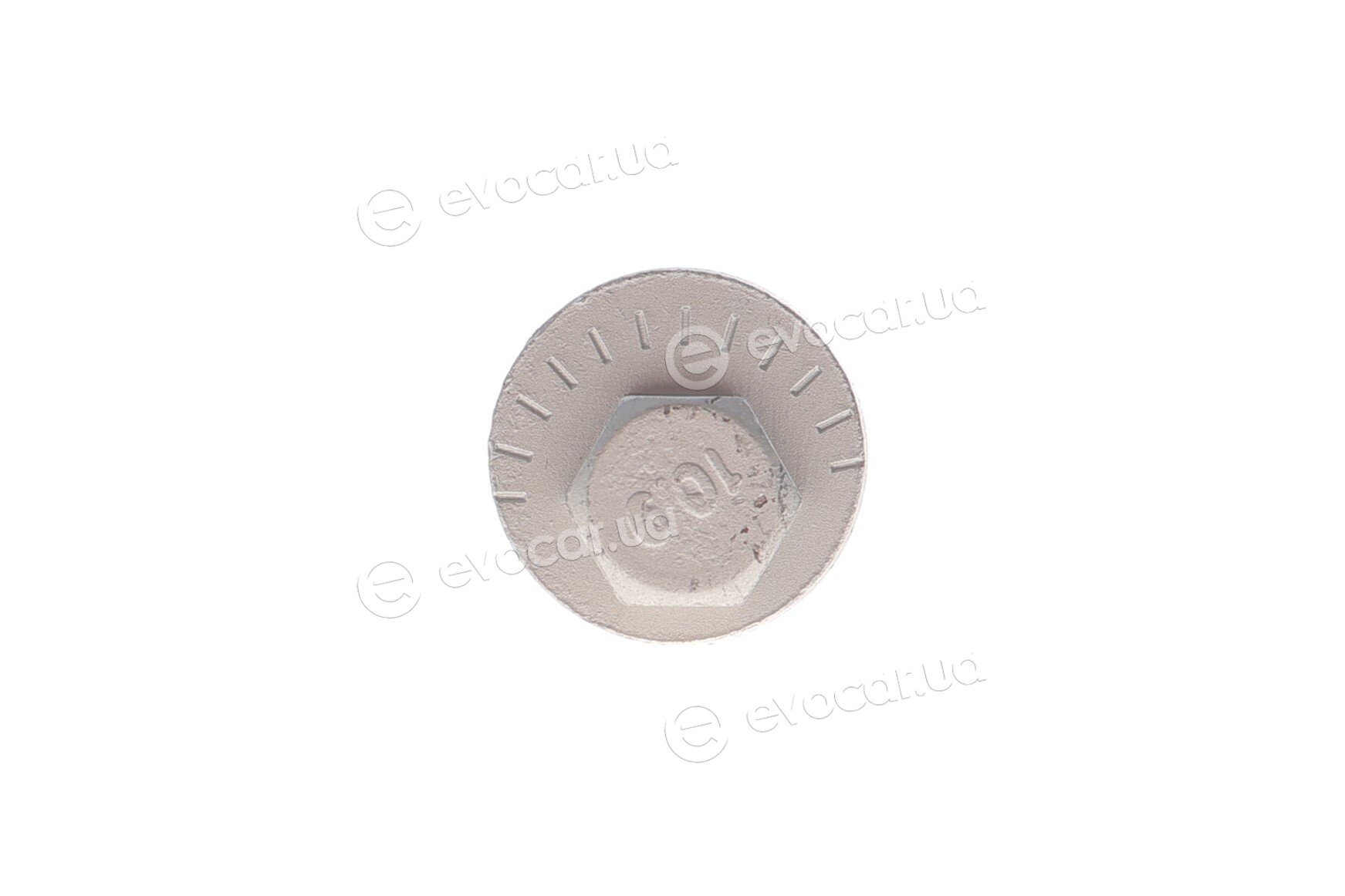 Solgy 204244