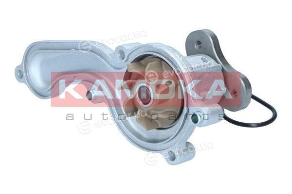 Kamoka T0306