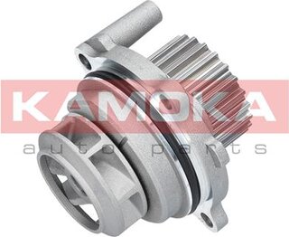 Kamoka T0029