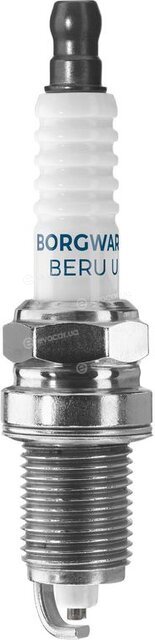 BorgWarner Z203