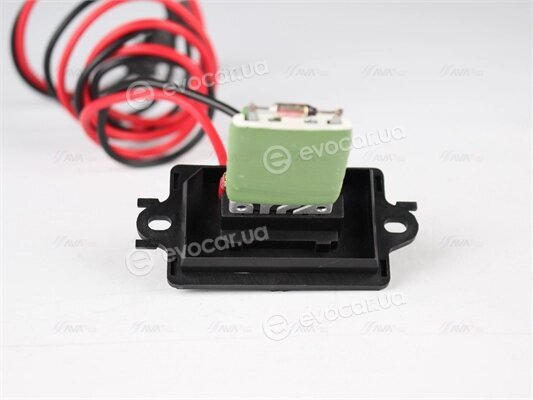 AVA RTR019