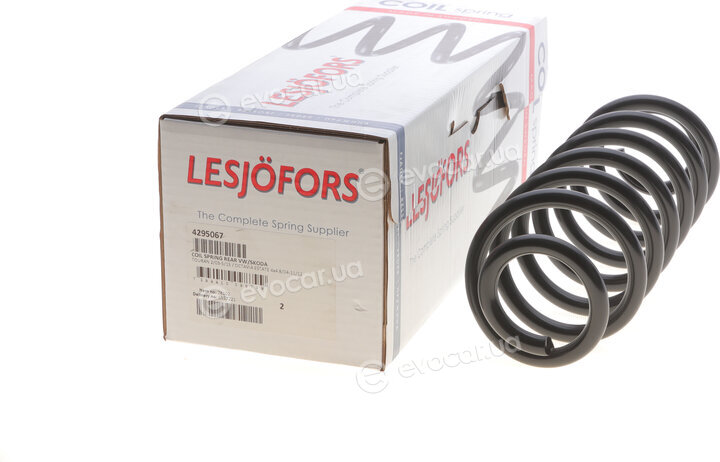 Lesjofors 4295067