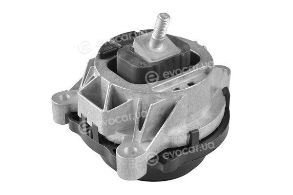 Tedgum TED97586