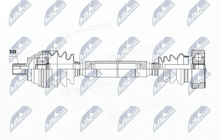 NTY NPW-VW-058