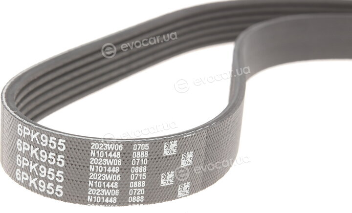 Gates 6PK955