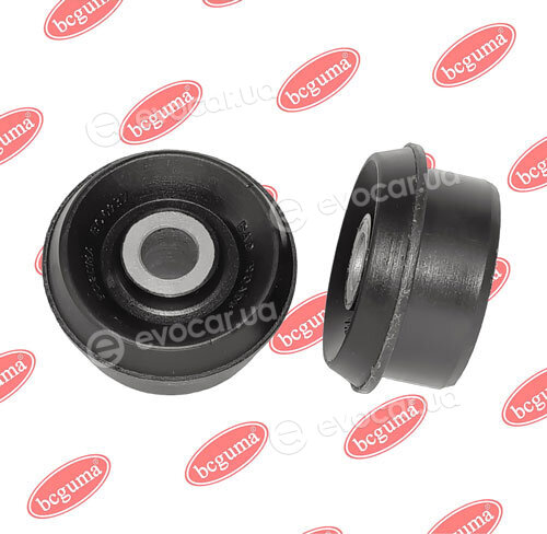 BC Guma 0937