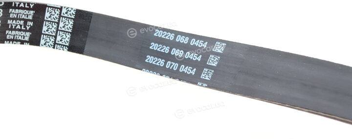 Dayco KPV451