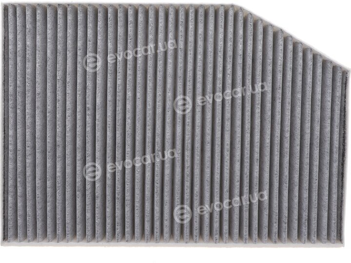 Solgy 104143