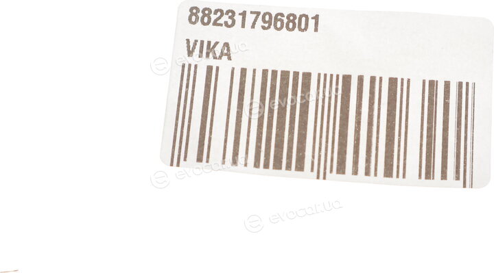 Vika 88231796801