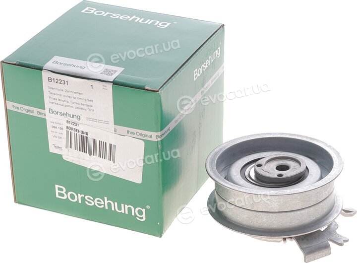Borsehung B12231
