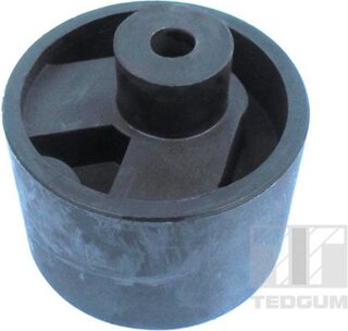 Tedgum 00675123