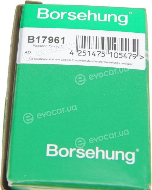 Borsehung B17961