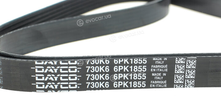 Dayco 6PK1855