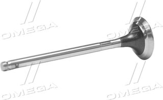 Gunes 1241