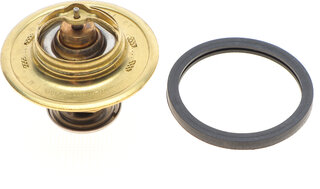 Mahle TX 93 79D