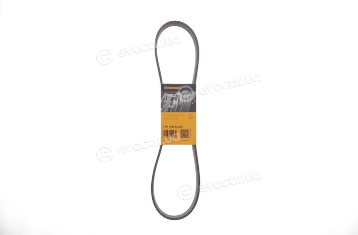 Continental 7PK1038ELAST