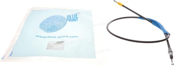 Blue Print ADN146289