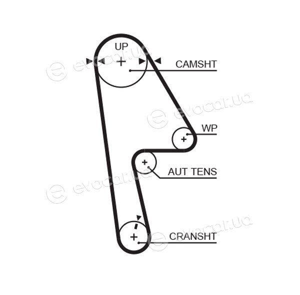 Gates KP15593XS