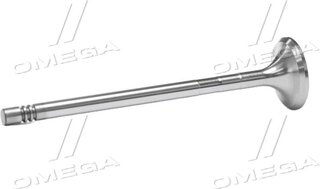 Gunes 3587