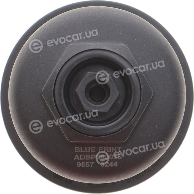 Blue Print ADBP990035