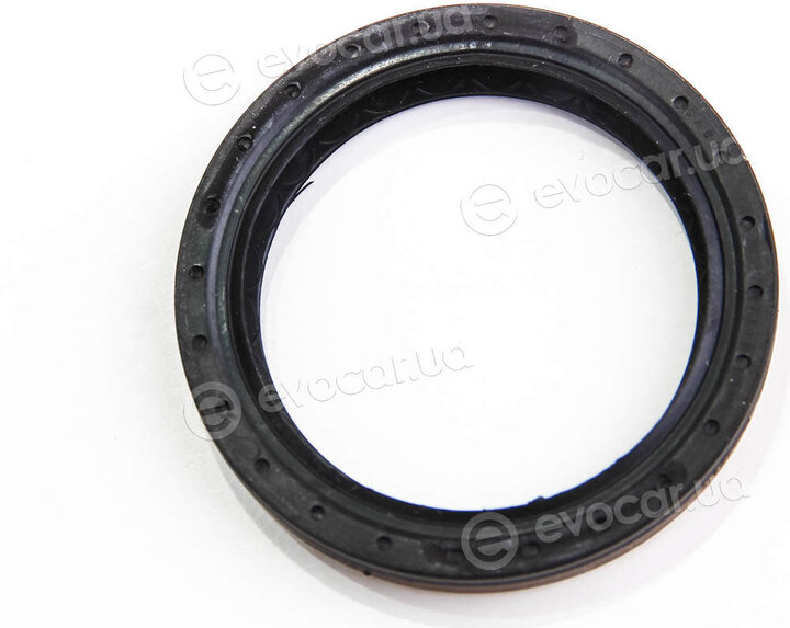 Elring 454.260