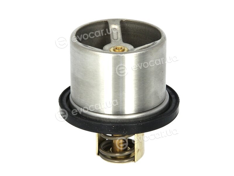 Wahler / BorgWarner 4619.82