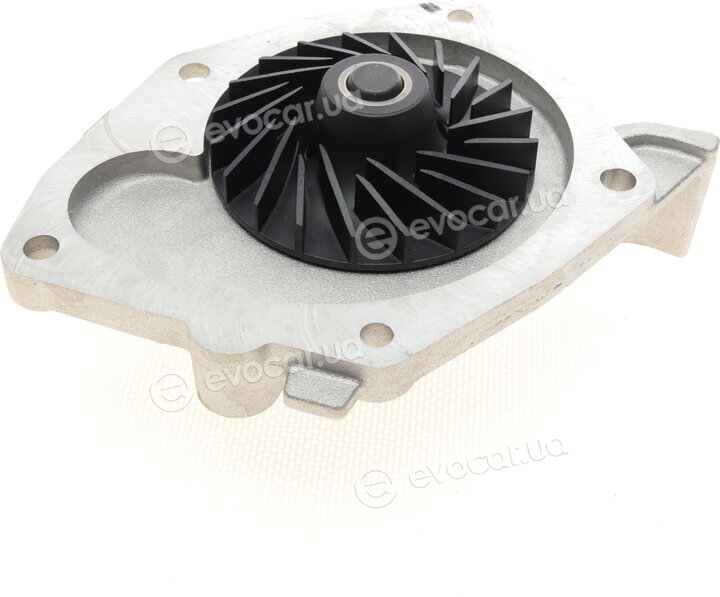 Hepu P966