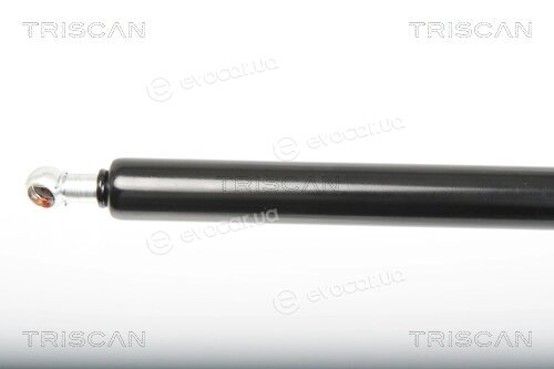 Triscan 8710 25246