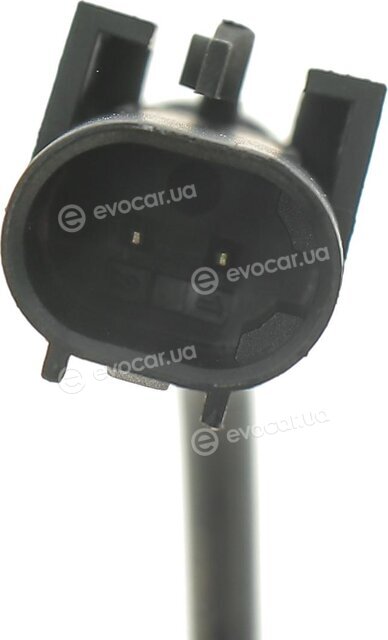 AIC 55818