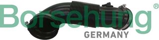 Borsehung B12334