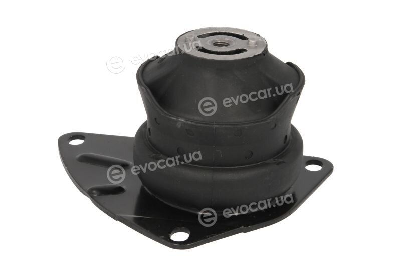 Reinhoch RH11-0026