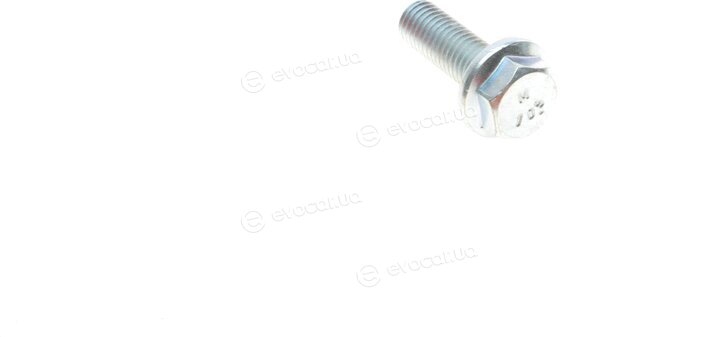 Solgy 203094