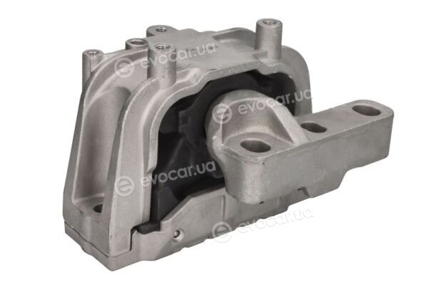 Reinhoch RH11-0156