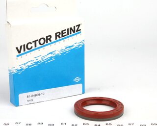 Victor Reinz 81-24909-10