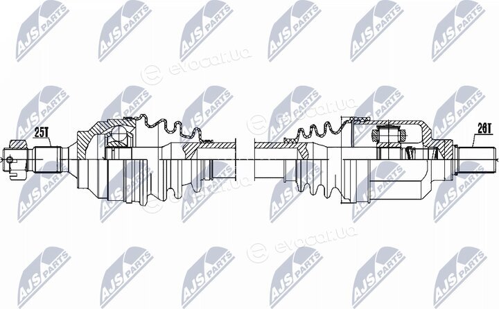 NTY NPW-CT-053